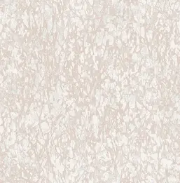  KT Exclusive Canvas OT71701