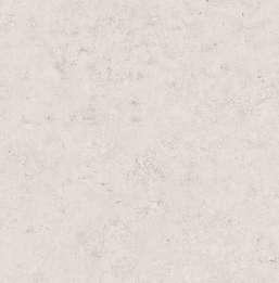  KT Exclusive Canvas OT71800