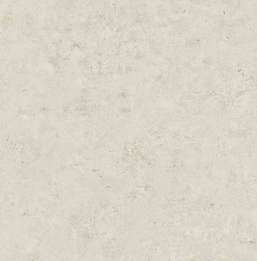  KT Exclusive Canvas OT71806