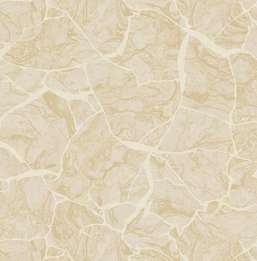  KT Exclusive Canvas OT72008