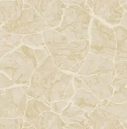  KT Exclusive Canvas OT72008