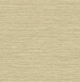  KT Exclusive Caspia im70101