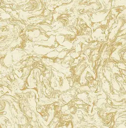  KT Exclusive Caspia im70301