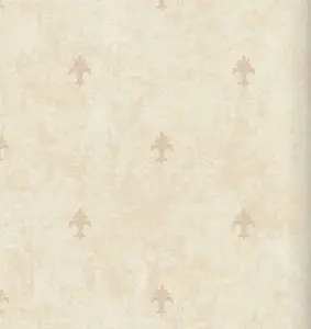  KT Exclusive Champagne Damasks AD50805 -  1