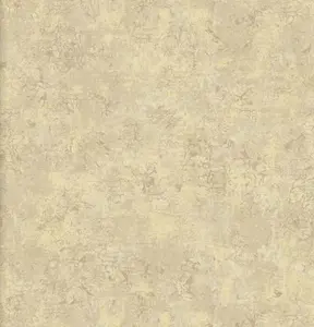  KT Exclusive Champagne Damasks AD52901 -  1