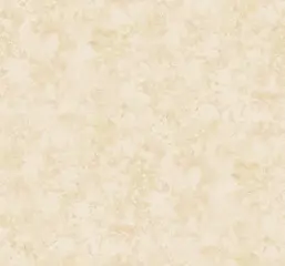  KT Exclusive French Impressionist fi71401