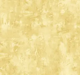  KT Exclusive French Impressionist fi72113