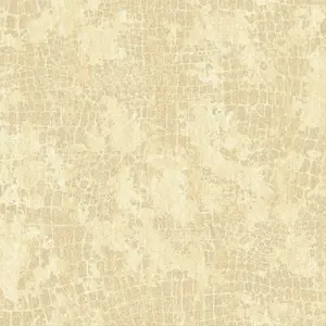  KT Exclusive Mr. Elegance 80504 DL -  1