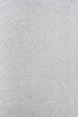  KT Exclusive Naturae REF213C02