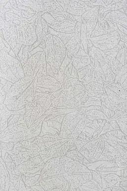  KT Exclusive Naturae REF213C01