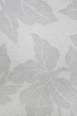  KT Exclusive Naturae REF212C02