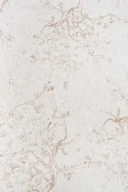  KT Exclusive Naturae REF210C05