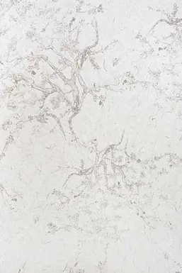  KT Exclusive Naturae REF210C04