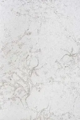  KT Exclusive Naturae REF210C01