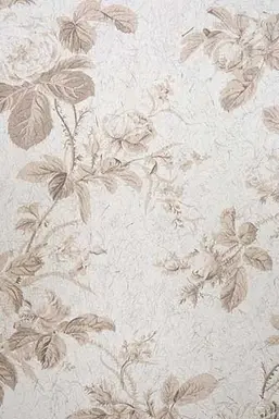  KT Exclusive Naturae REF207C05