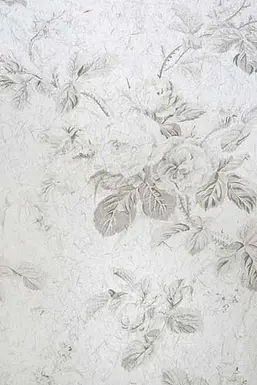  KT Exclusive Naturae REF207C04