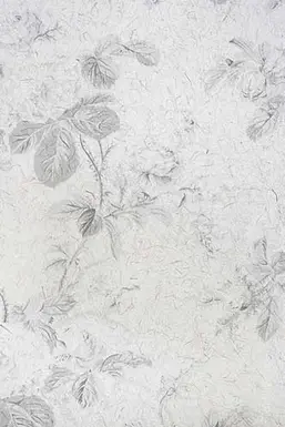  KT Exclusive Naturae REF207C02