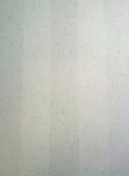  KT Exclusive Naturae REF216C02