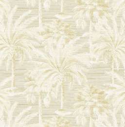  KT Exclusive Palm Springs ps40003