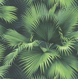  KT Exclusive Palm Springs ps40104