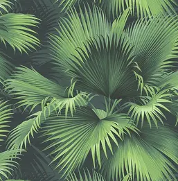  KT Exclusive Palm Springs ps40104