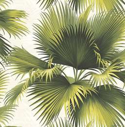  KT Exclusive Palm Springs ps40114