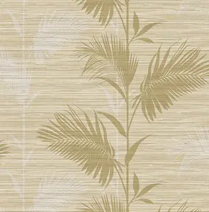  KT Exclusive Palm Springs ps40305 -  1
