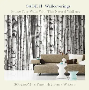 KT Exclusive Sage 2 SG42300M -  1