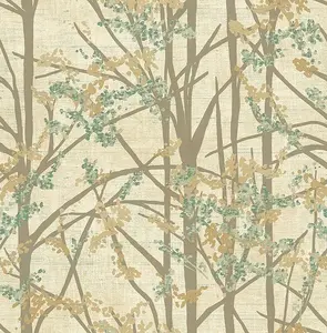  KT Exclusive Sage 2 SG40002 -  1