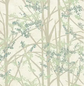 KT Exclusive Sage 2 SG40004 -  1