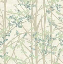  KT Exclusive Sage 2 SG40004