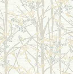  KT Exclusive Sage 2 SG40008