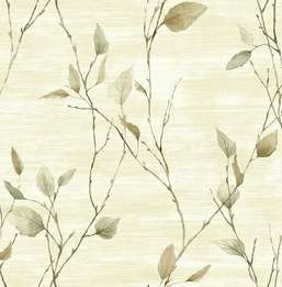  KT Exclusive Sage 2 SG40204