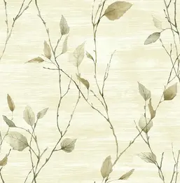  KT Exclusive Sage 2 SG40204