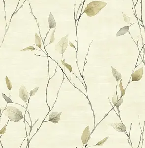  KT Exclusive Sage 2 SG40206 -  1