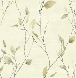 KT Exclusive Sage 2 SG40206