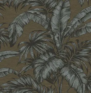  KT Exclusive Sage 2 SG41402 -  1