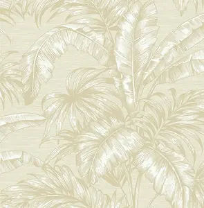  KT Exclusive Sage 2 SG41405 -  1