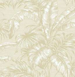  KT Exclusive Sage 2 SG41405