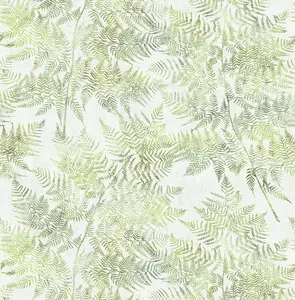 KT Exclusive Sage 2 SG41604 -  1