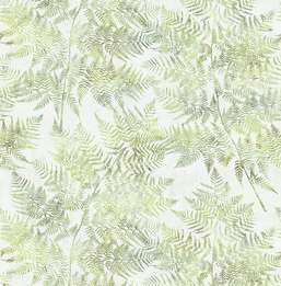  KT Exclusive Sage 2 SG41604