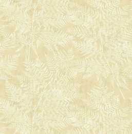  KT Exclusive Sage 2 SG41605
