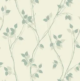  KT Exclusive Simplicity SY40014