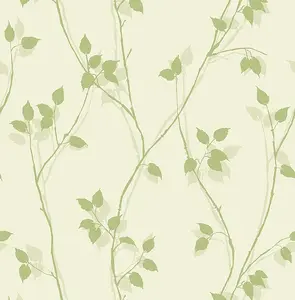  KT Exclusive Simplicity SY40024 -  1