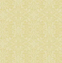  KT Exclusive Simplicity SY40213