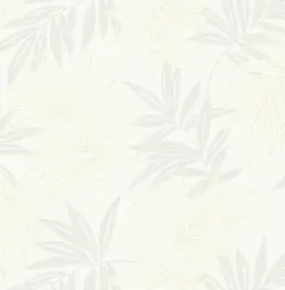  KT Exclusive Simplicity SY40500