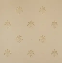  KT Exclusive Solomon KTE10007