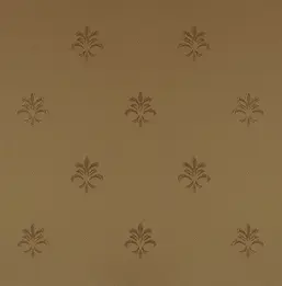  KT Exclusive Solomon KTE10019
