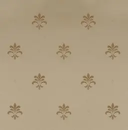  KT Exclusive Solomon KTE10027