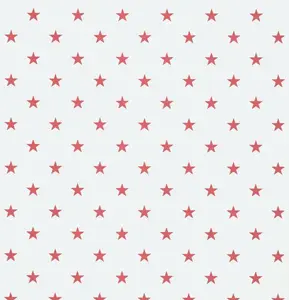  KT Exclusive Stars&Stripes 2800093 -  1